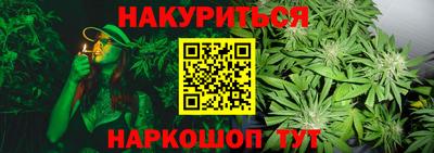 стаф Ливны