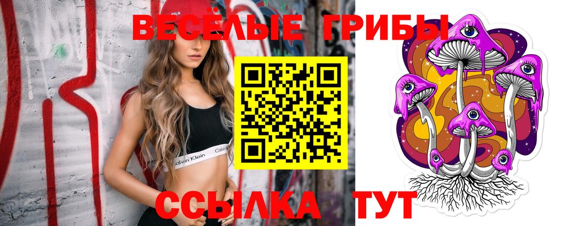 Знаменск  Псилоцибиновые грибы GOLDEN TEACHER  Вход с VPN  Псилоцибиновые грибы MAGIC MUSHROOMS 